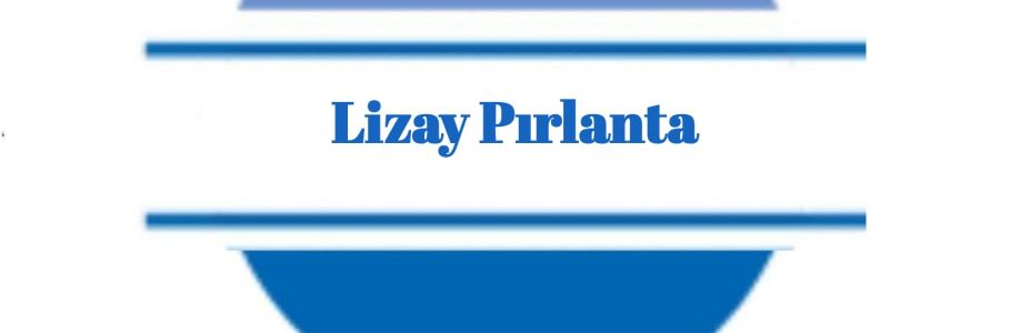 Lizay Pırlanta (Jewellery) Cover Image