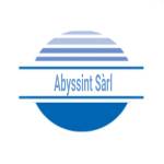 Abyssint Sàrl Profile Picture