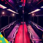 Niagara Falls Party Bus