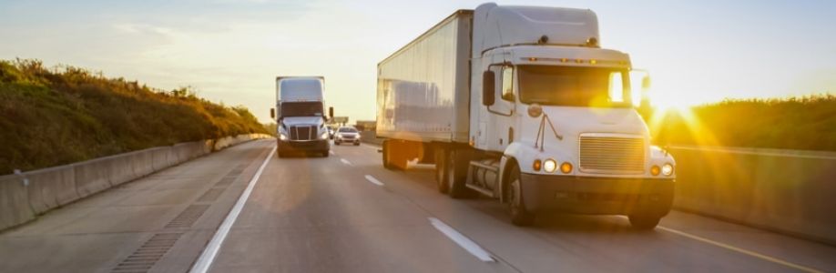 Best Bet Movers Cover Image