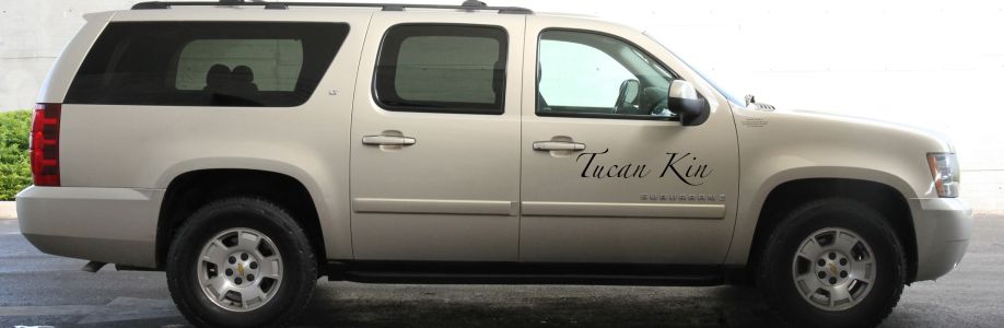 Tucan Kin Cover Image