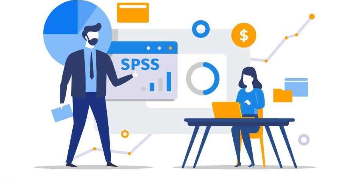 SPSS Assignment Help Services