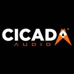 Cicada Audio Profile Picture