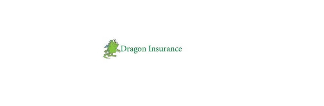 Dragon Insurance Cover Image