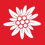 Hermannes Hochstrasser