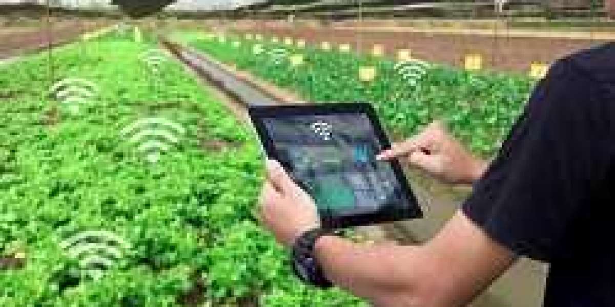 5G Smart Farming Market Innovation & Disruption 2024-2032