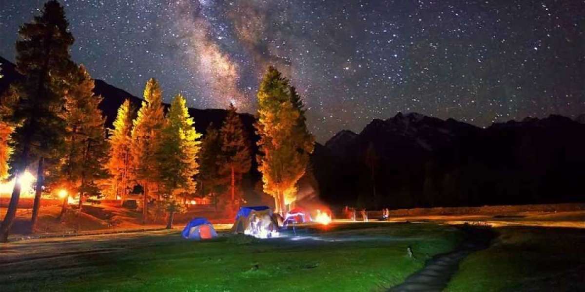 Exploring the Enchanting Beauty of Fairy Meadows: A Haven for Nature Enthusiasts