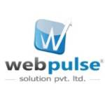 Webpulse Solution Pvt. Ltd