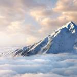 Archer Murphy Profile Picture