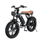 Elektrische fietsen