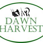 Dawn Harvest