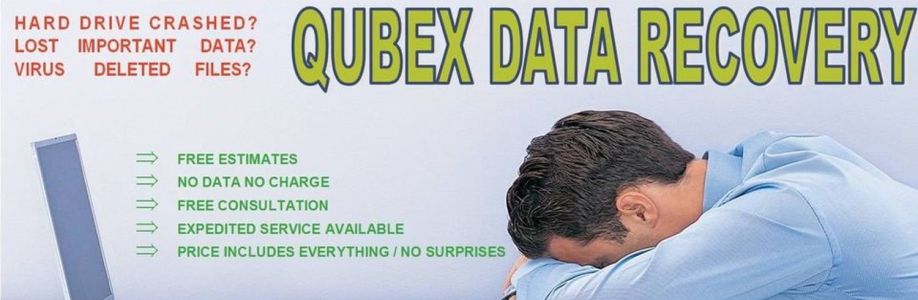 Qubex Data Recovery Cover Image