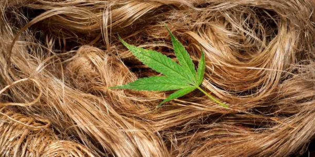 Europe Industrial Hemp Market Outlook with Investment, Gross Margin, and Forecast 2032