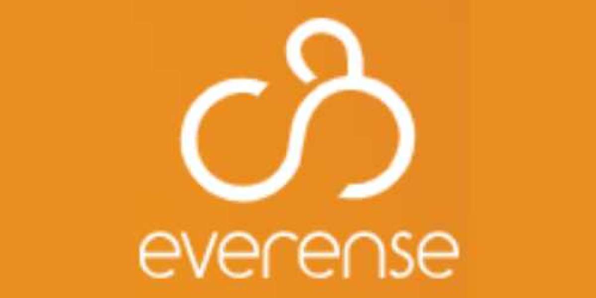 Everense - Business Consulting Services in France