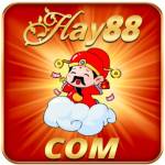 hay88 com
