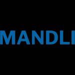 Mandlitech seo