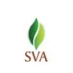 SVA Brand Profile Picture