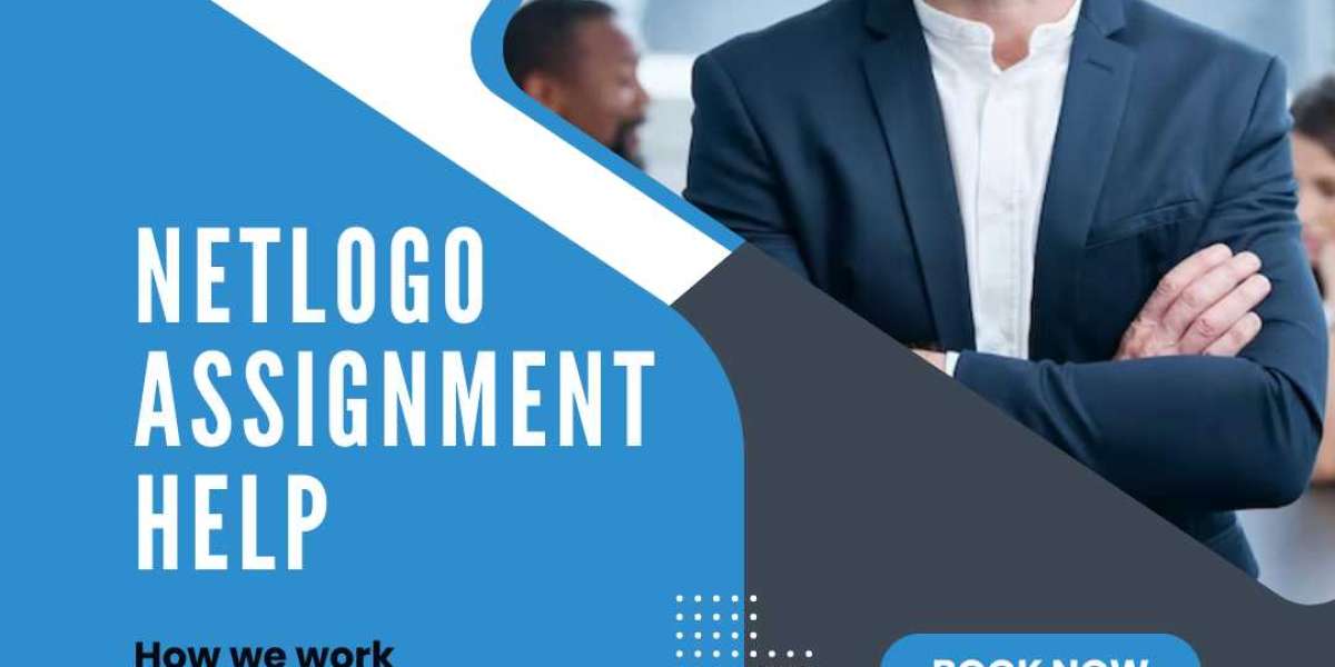 Learn by Doing: Netlogo Assignment Samples for Beginners