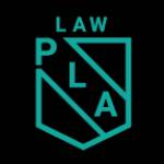Law Office of Parag L. Amin, P.C.