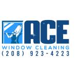 ACE Window Cleaning