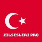 Zilsesleri Pro Profile Picture