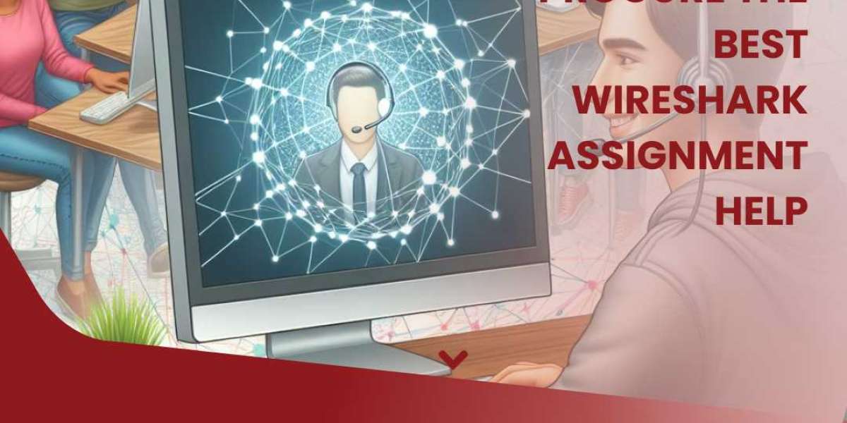 Excel in Network Analysis with Professional Wireshark Assignment Help