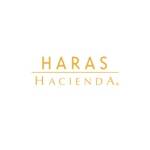 HARAS HACIENDA