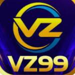VZ99 BIKE