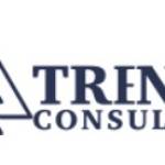 Trenity Consultants