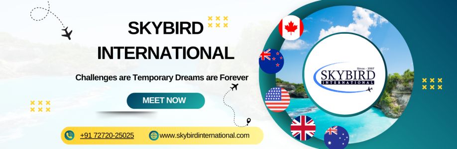 Skybird International Cover Image