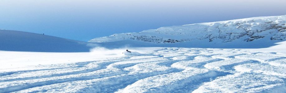 heliski Cover Image