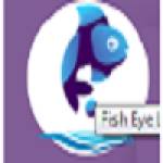 Web Development Company - Fish Eye Advertising