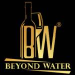 beyond waters