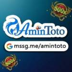 Amintoto About