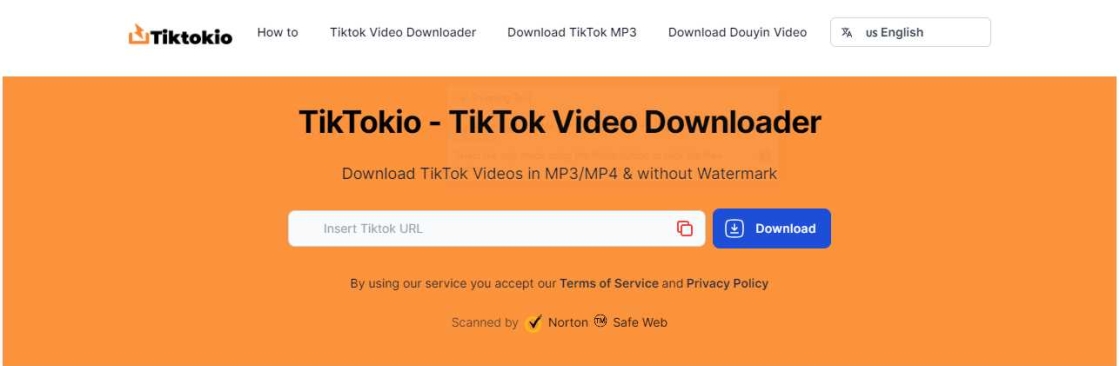 Download TikTok Videos Cover Image