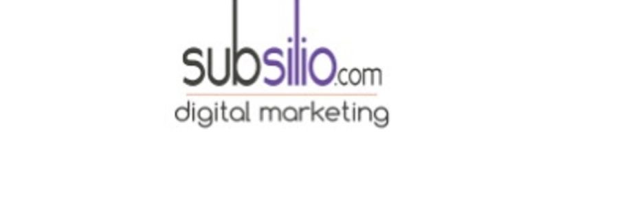 Subsilio Consulting LLC Cover Image