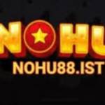 nohu88 isst Profile Picture