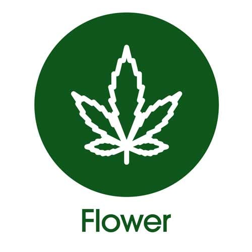 NJ Weed Dispensary & Same-Day Weed Delivery In New Jersey