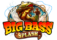 Seite wurde nicht gefunden. - Big Bass Splash