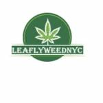 leaflyweed NYC Profile Picture