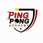 Ping Pong Academy Profile Picture