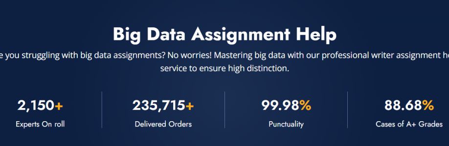 Big Data Assignment Help Cover Image