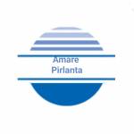 Amare Pirlanta profile picture