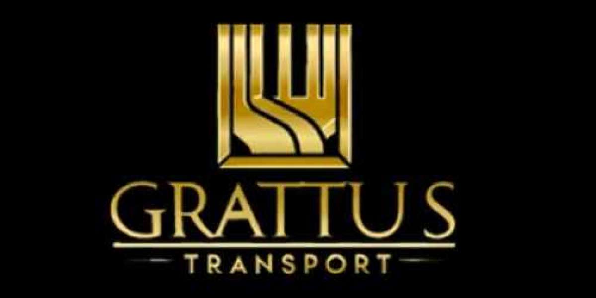 Luxury Door-to-Door Airport Shuttle and Premium Transfers in Singapore