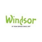 Windsor thepetshop Profile Picture