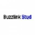 buzzlink studios