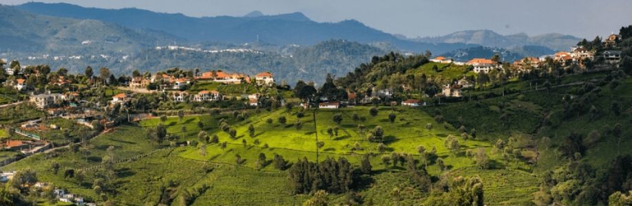 Coonoor Estates Cover Image