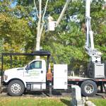 Tennett Tree Services Inc