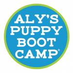 Alyson Puppy Bootcamp