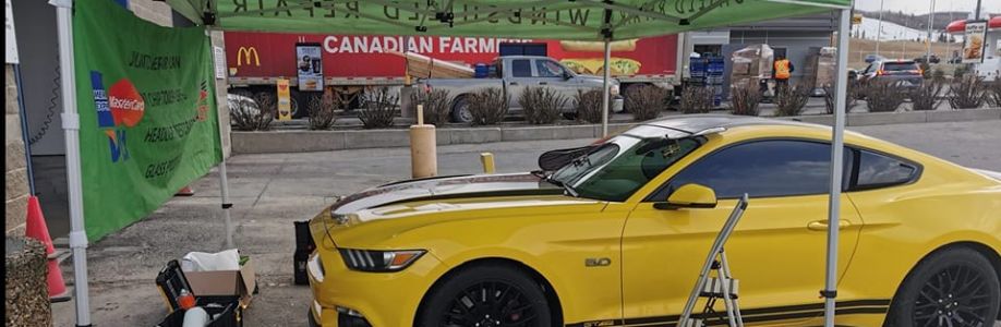 Stealth Windshield Repair Cover Image